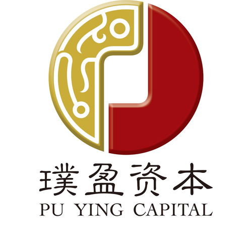 上海璞盈投资管理 稳健与全球视野下的新战略
